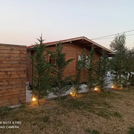 Luxury Wooden House Villa