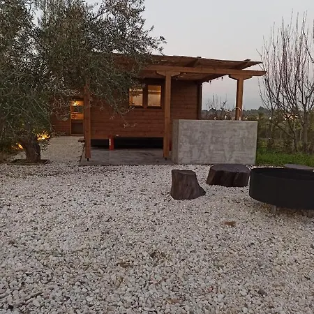 Luxury Wooden House